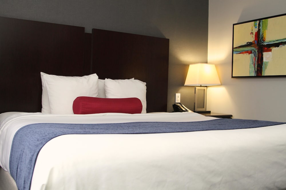 Best Western Plus Olathe Hotel 7/34