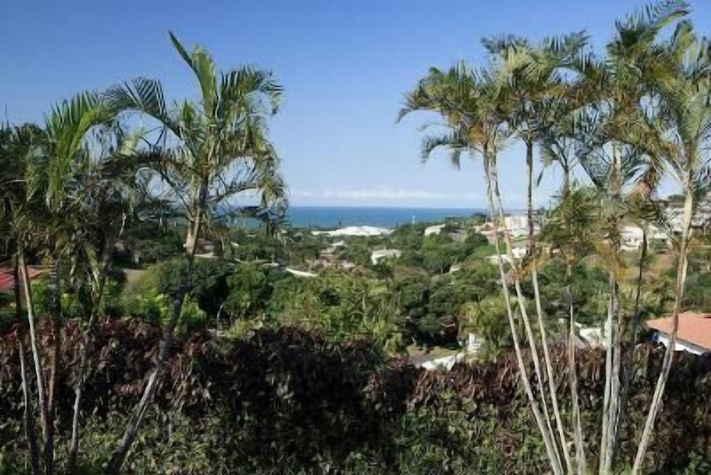 Seaview Manor Exquisite Bed & Breakfast 33/41