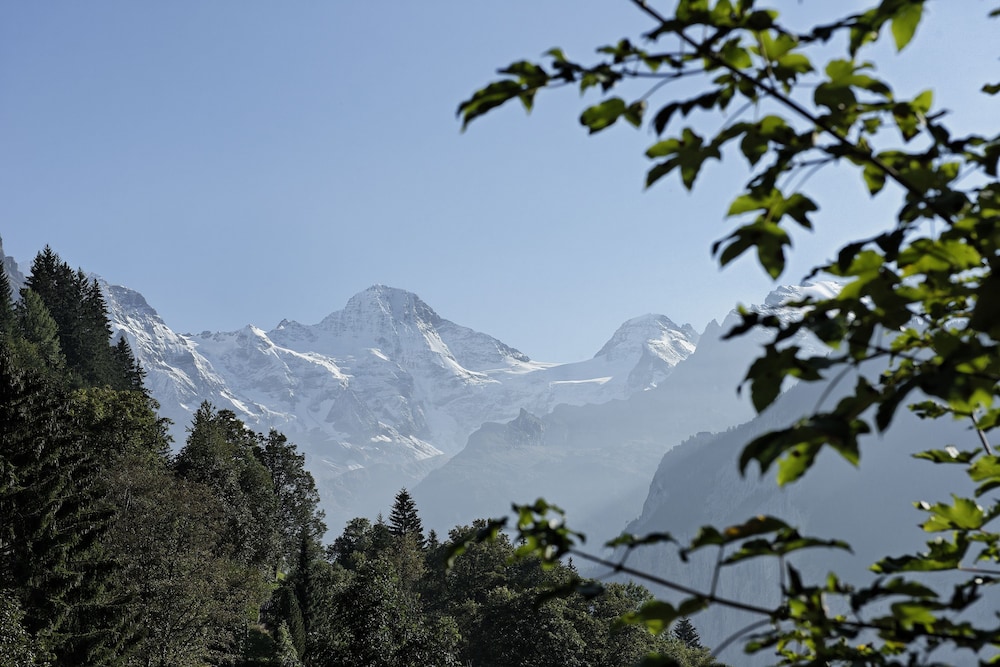 Hotel Alpenrose Wengen 32/44