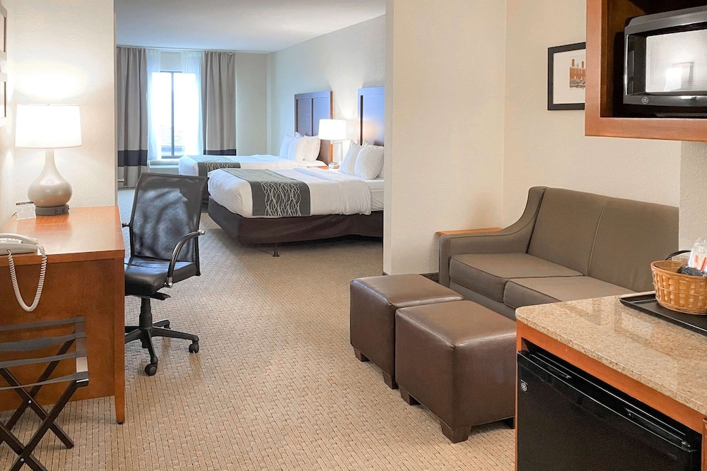 Comfort Inn & Suites Rogersville 25/37
