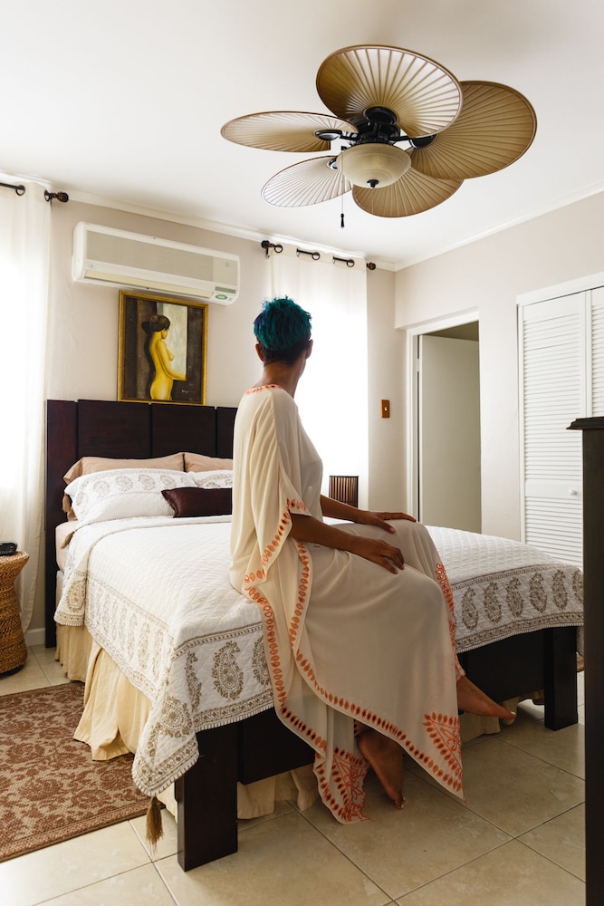 New Kingston Guest Apartment Vii 9/32
