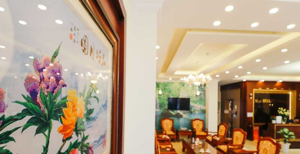 Mai Hoang Hotel 9/70