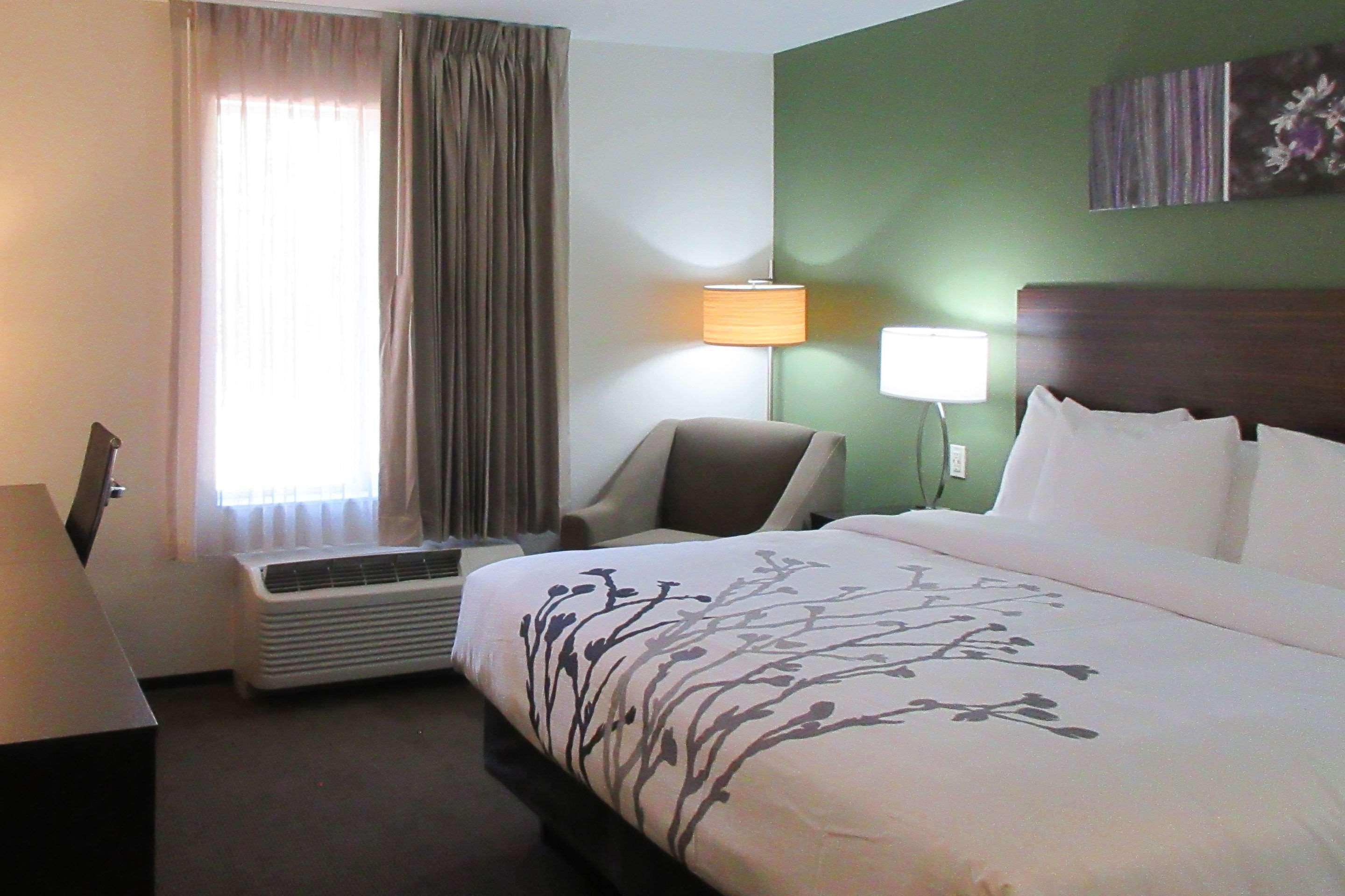 Room, King Bed