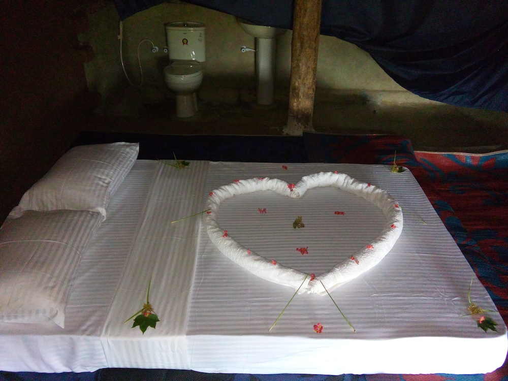 Jungle House Yala 50/50