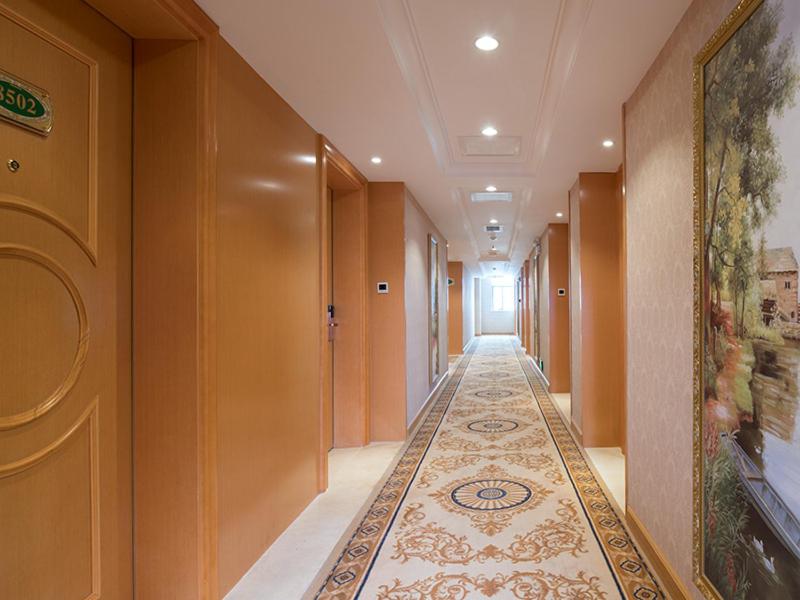 Vienna Hotel (Dayawan Xinliao) 14/18