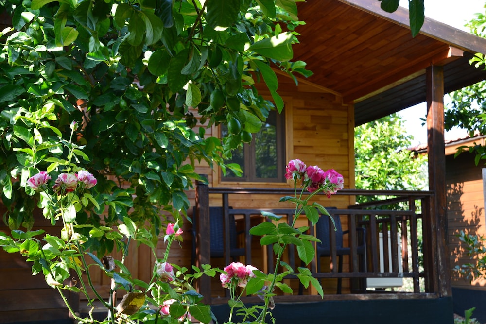 Lemon Garden Lodge 44/50