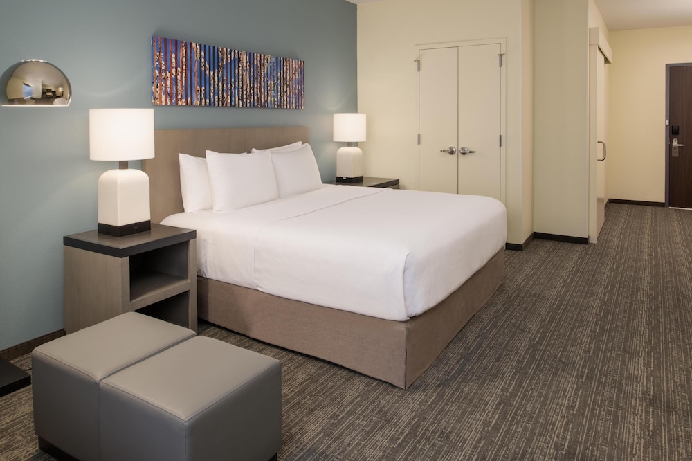 1 Bedroom, Suite, King Bed, Sofa