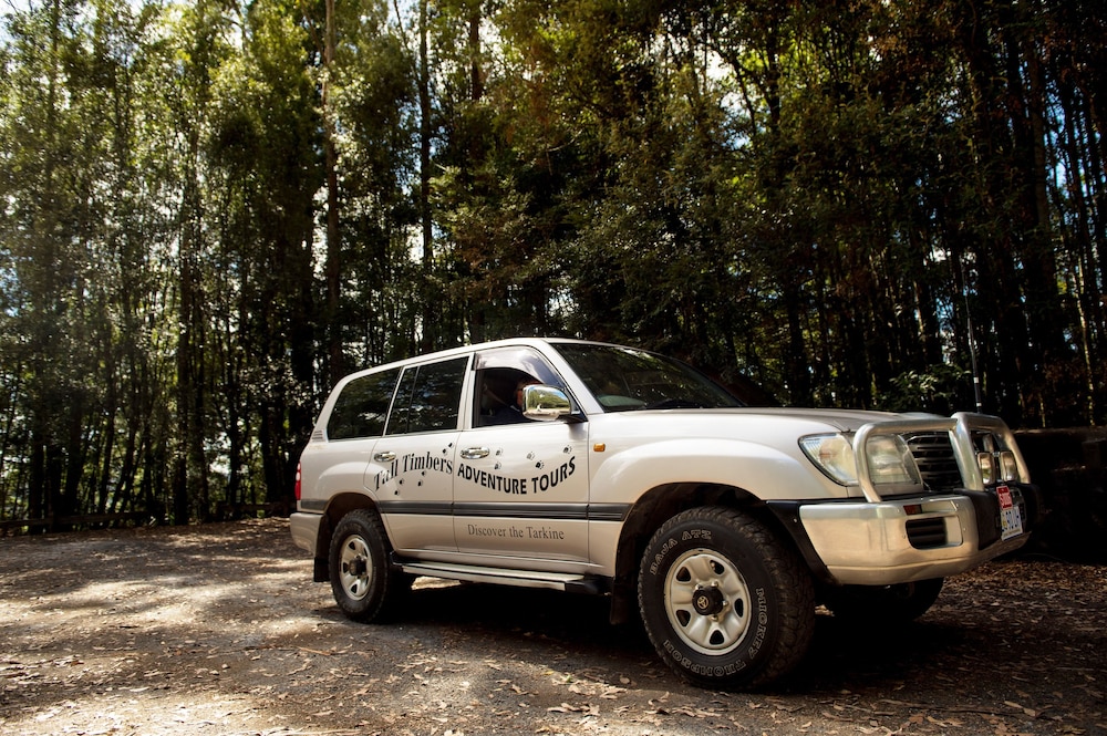 Tall Timbers Tasmania 23/41