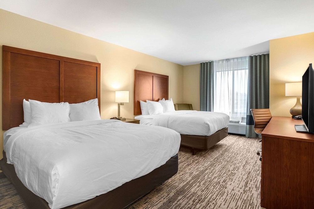 Comfort Inn and Suites Ames Near ISU Campus 13/41