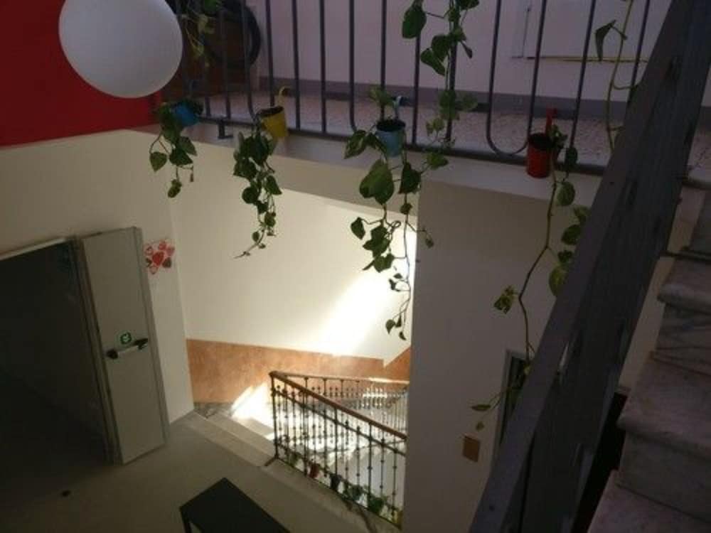 Babila Hostel 40/55