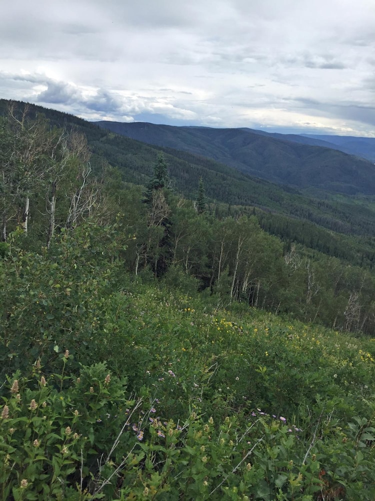 The Fold Hotels Steamboat Springs 62/65