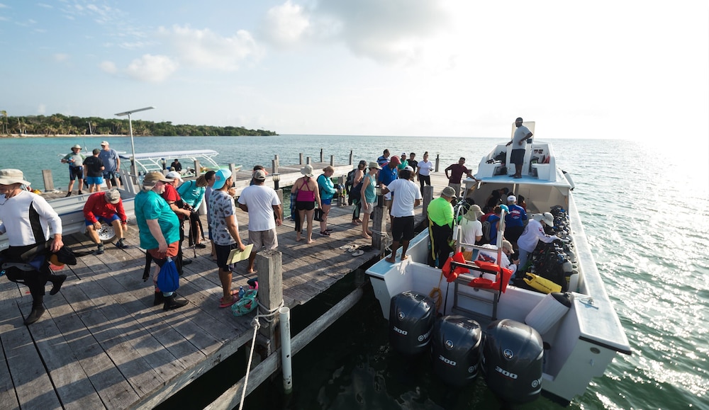 Belize Dive Haven 28/50