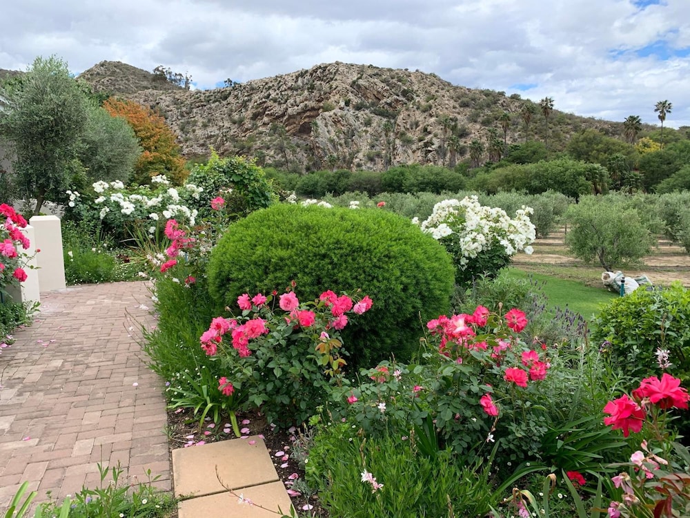 Montagu Vines Guest House 38/50