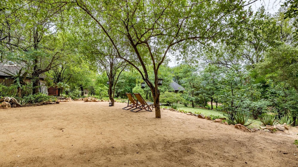 Umlani Bushcamp - Lodge 32/50