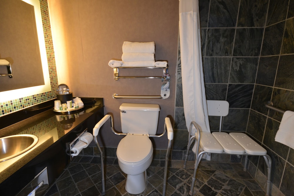 iHOTEL & Conference Centre Red Deer 57/57