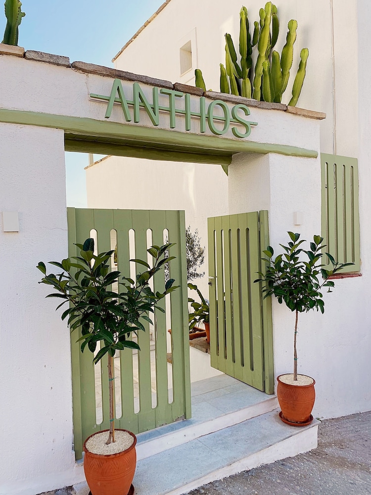 Anthos Apartments photo2