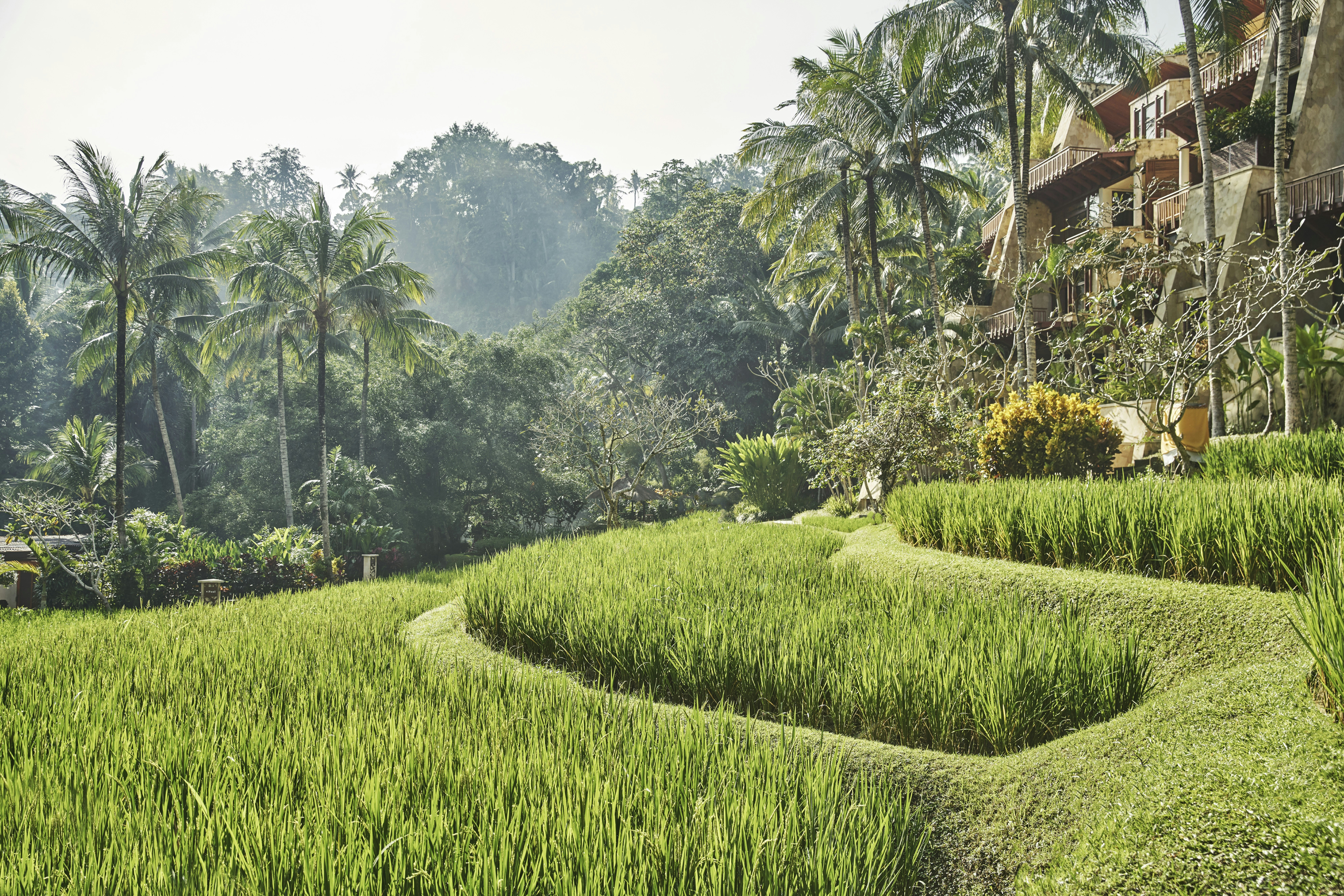 Four Seasons Resort Bali at Sayan 67/84