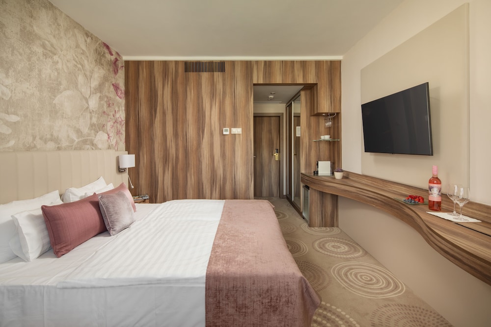 Hotel Carbona Thermal Spa 27/72