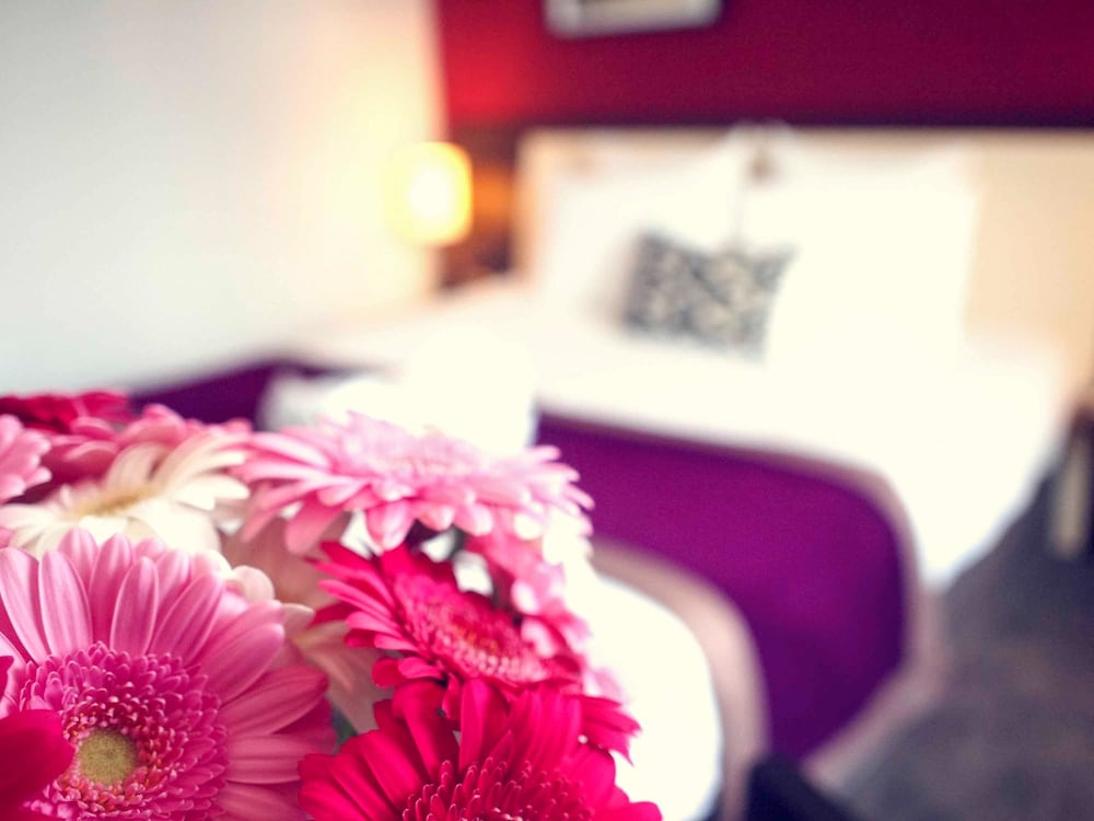 Mercure Angers Centre Gare Hotel 20/72