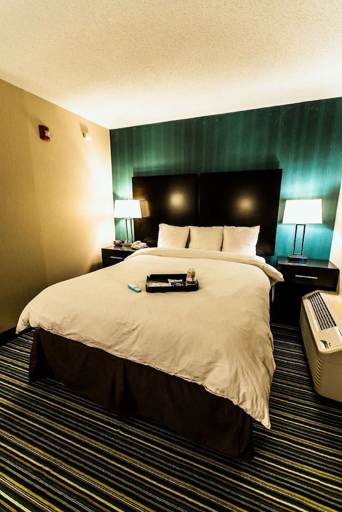 Garden Executive Hotel 28/58