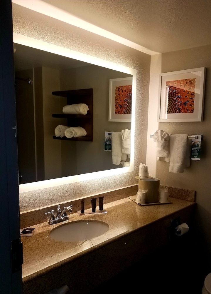 Spark by Hilton DFW North 32/60