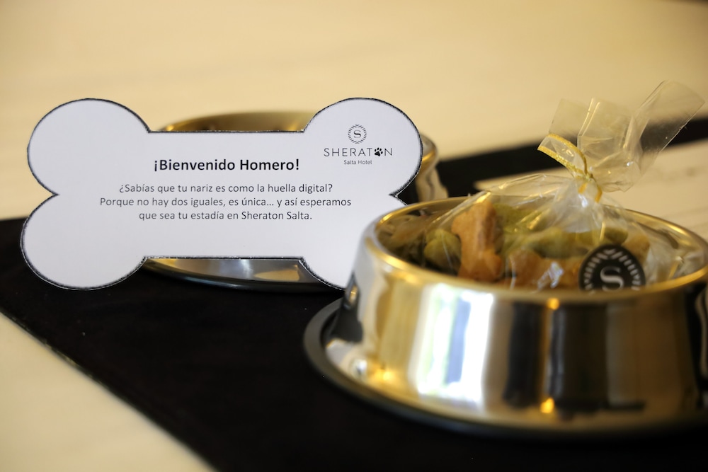 SHERATON SALTA HOTEL 26/72