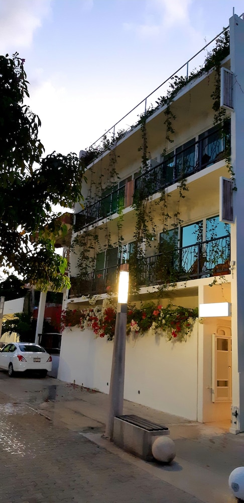 Ocean Zen Suites 3/50