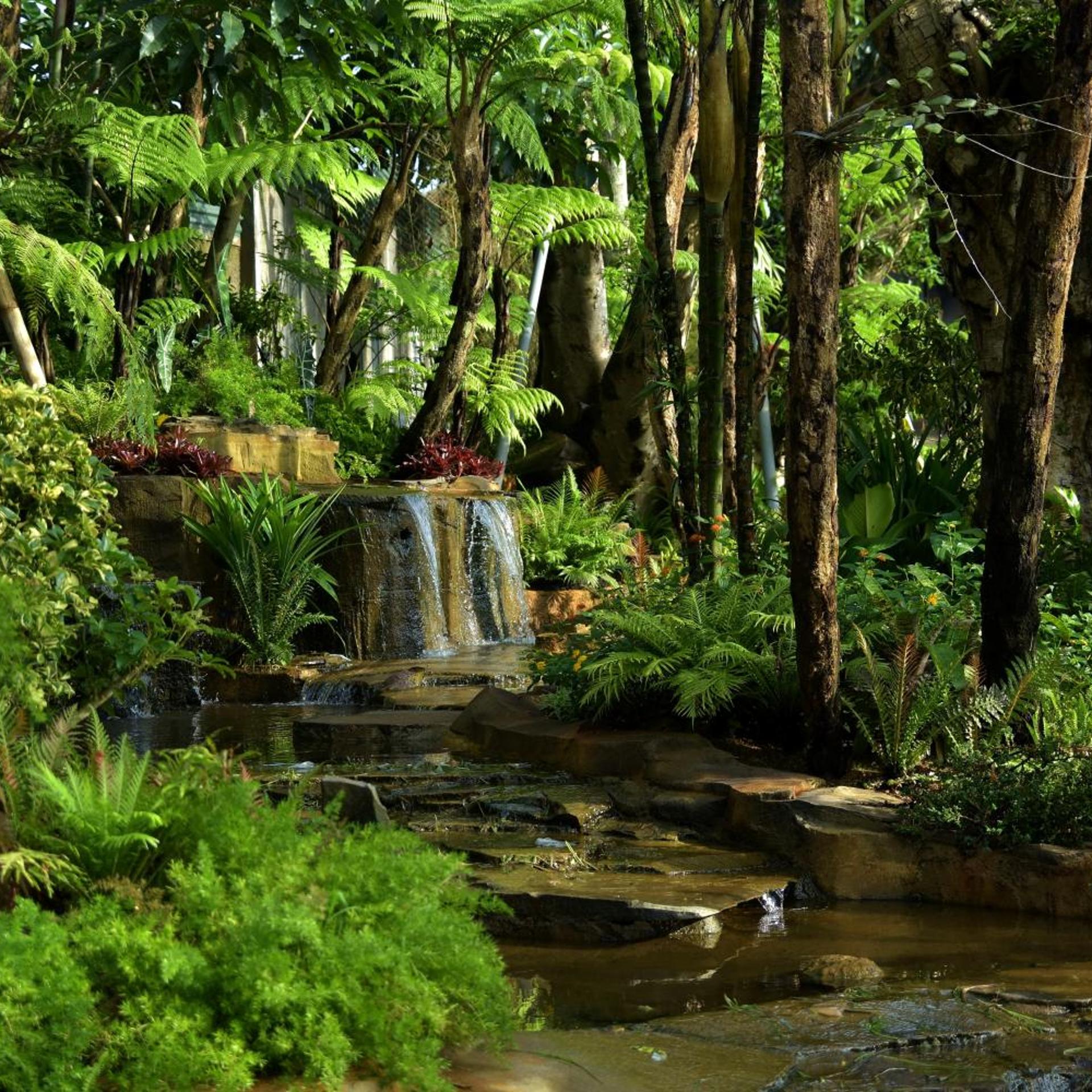 Sarga Earthing Resort 44/50