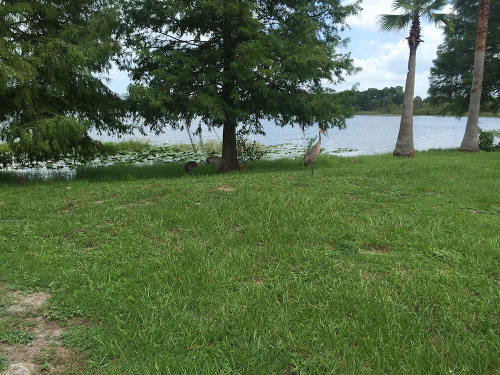 Budget Inn Sanford 28/40