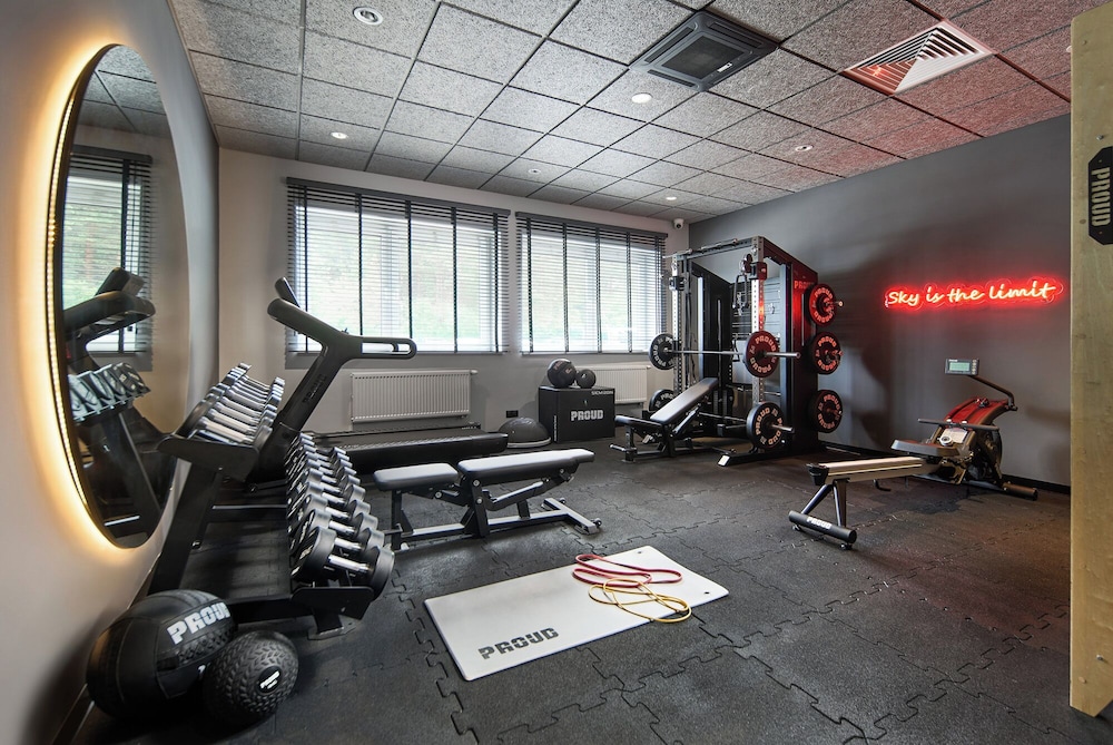 ibis Styles Katowice Airport 15/37