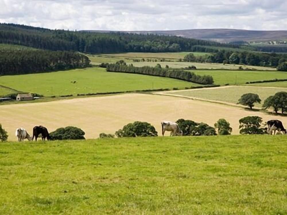 Rye Hill Farm 32/39