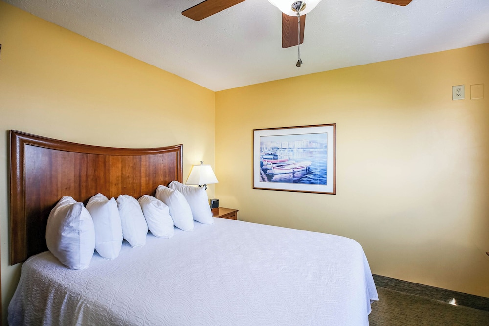 1 BEDROOM, CONDO