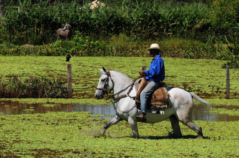 Pousada Rio Claro 34/50