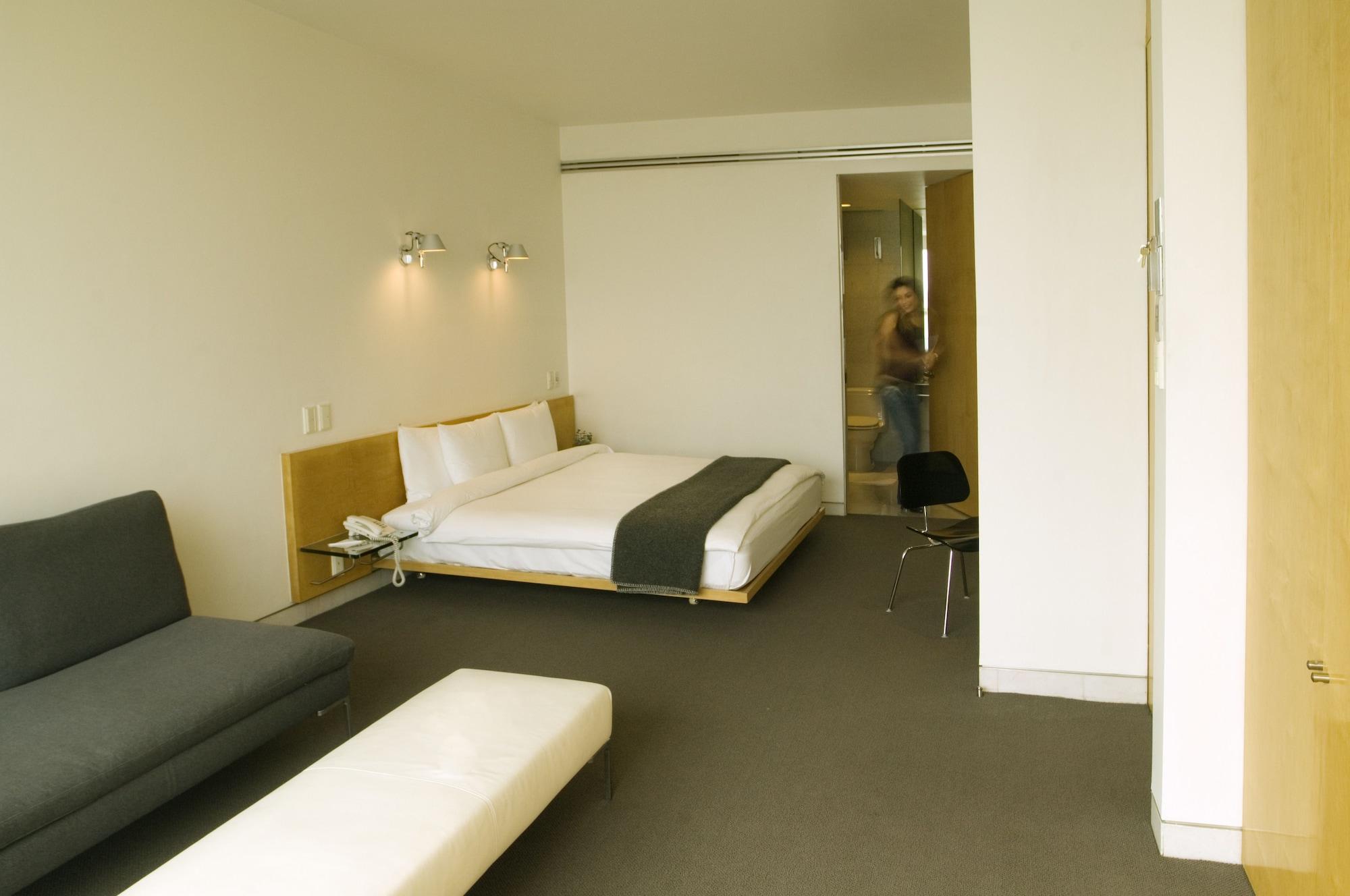 Junior Suite, Studio