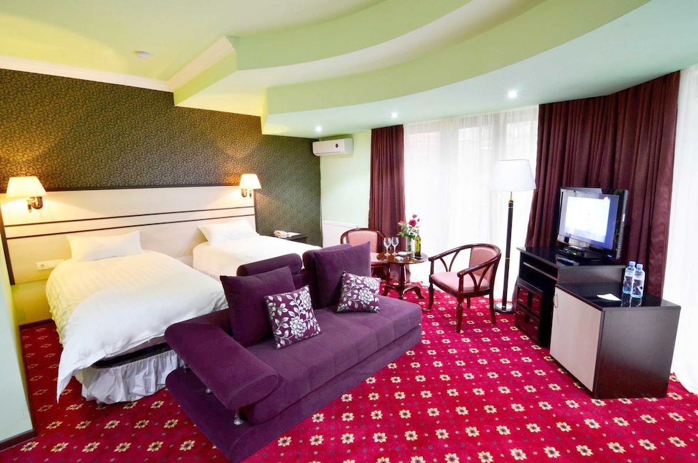 Borjomi Palace Hotel and Spa 14/50
