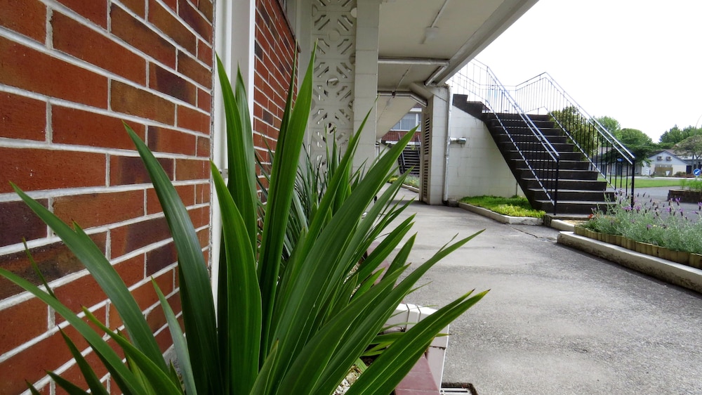 Kuirau Park Motor Lodge 8/49