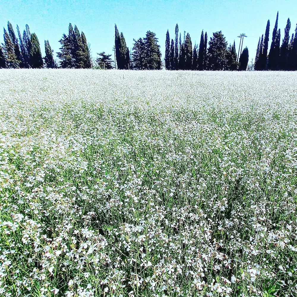 Masseria Fracchicchi 38/48