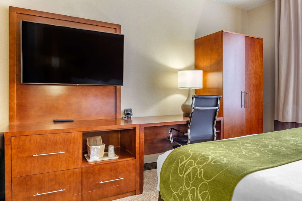 Comfort Suites Dover University Area 20/36