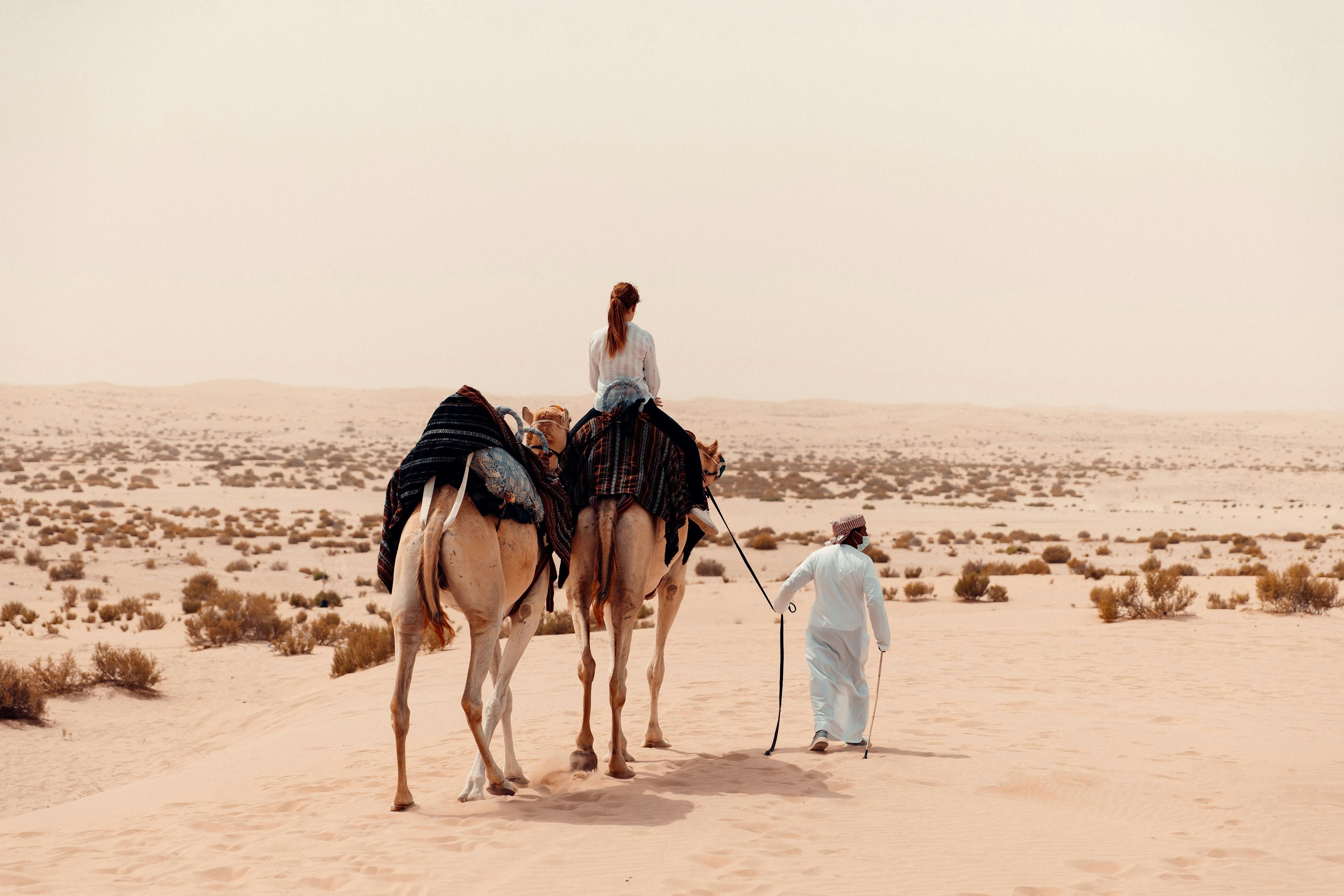 Al Wathba A Luxury Collection Desert Resort And Spa Abu Dhabi 55/58