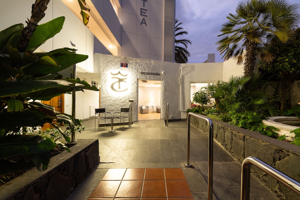 TC Apartamentos Dorotea 6/71