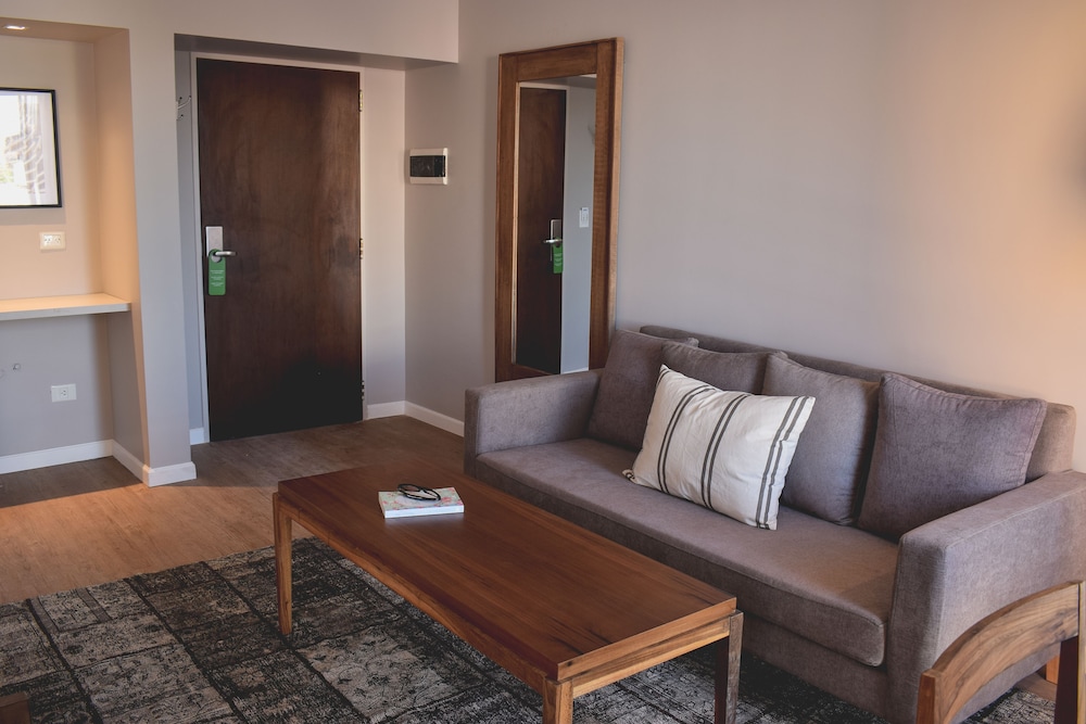 Cyan Soho Neuquen Hotel 45/65
