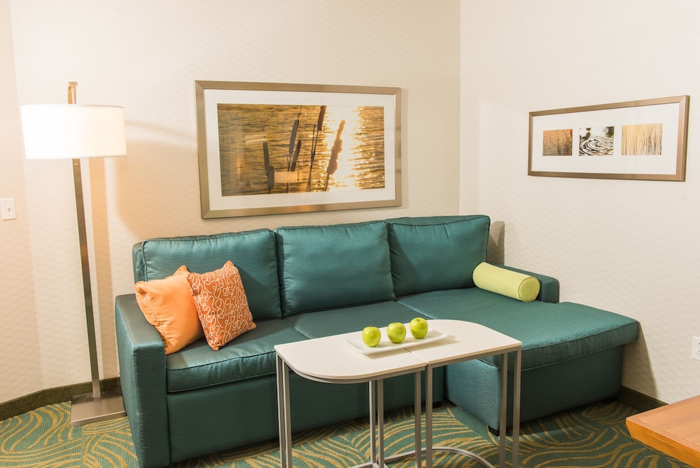 Springhill Suites Buffalo Airport 35/59