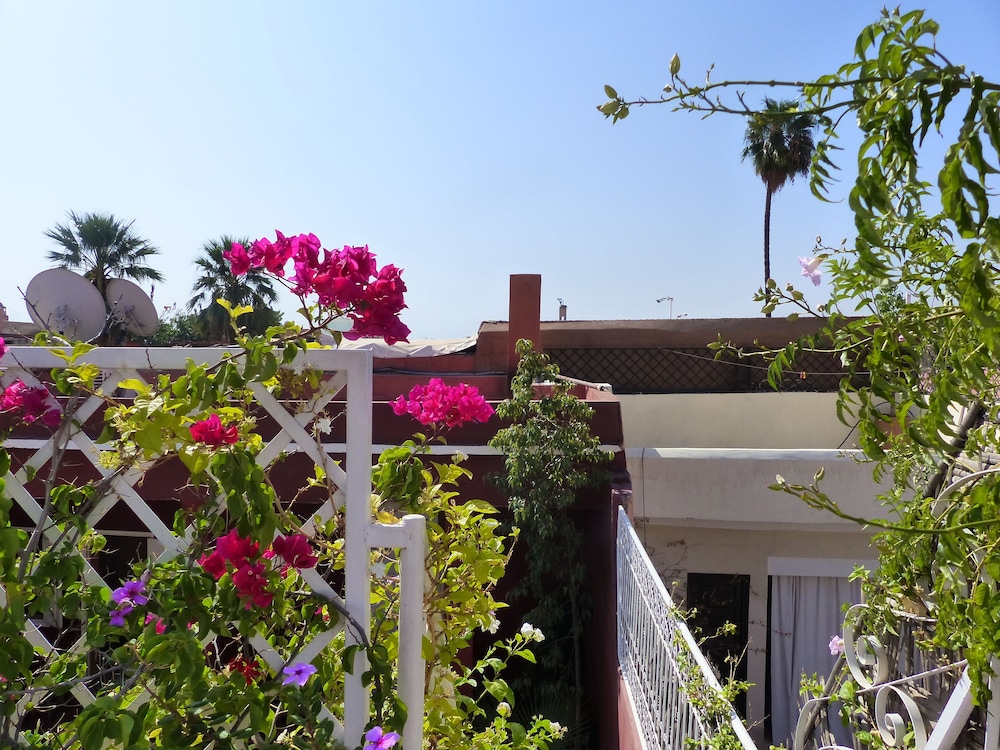 Riad Marhbabikoum 3/50