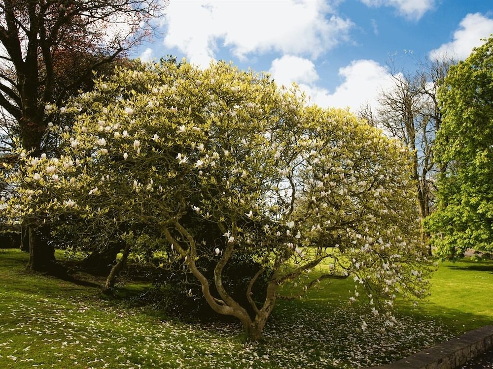 Portclew House 13/15