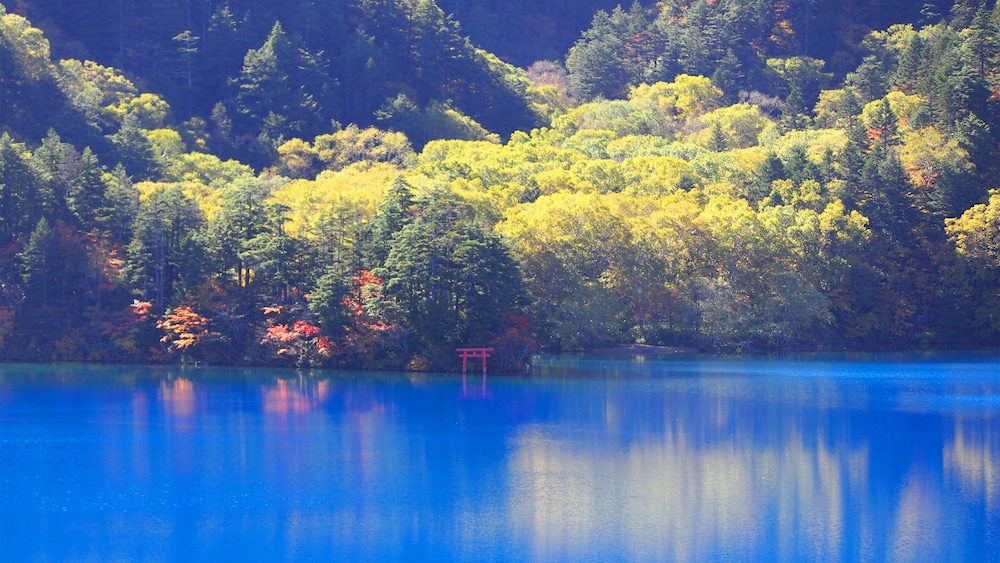 Hotel Ichinose 37/50