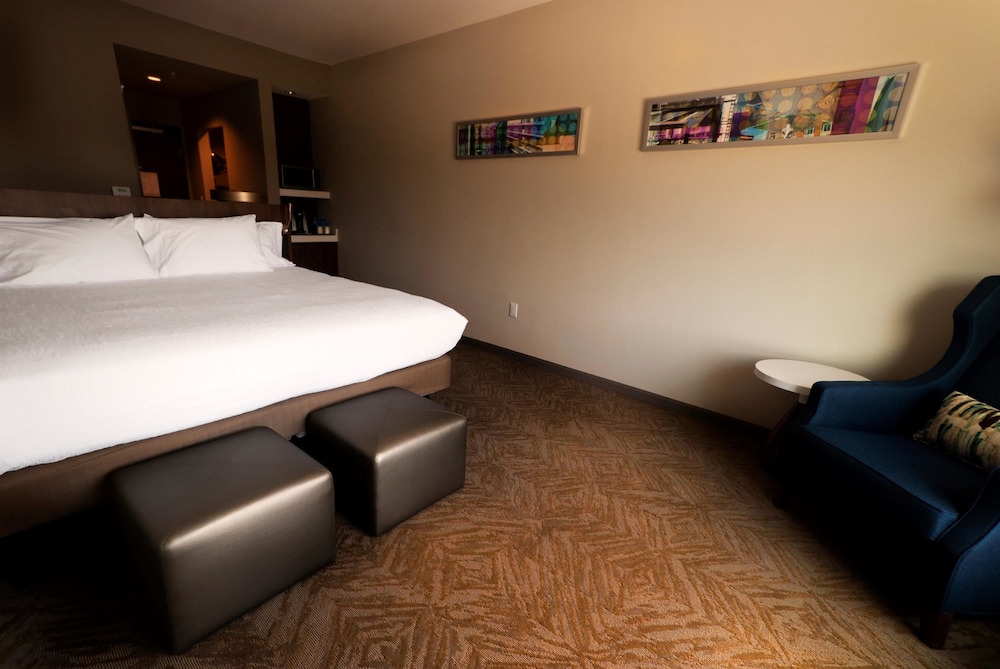 Hilton Garden Inn Dallas At Hurst Conference Center 9/53