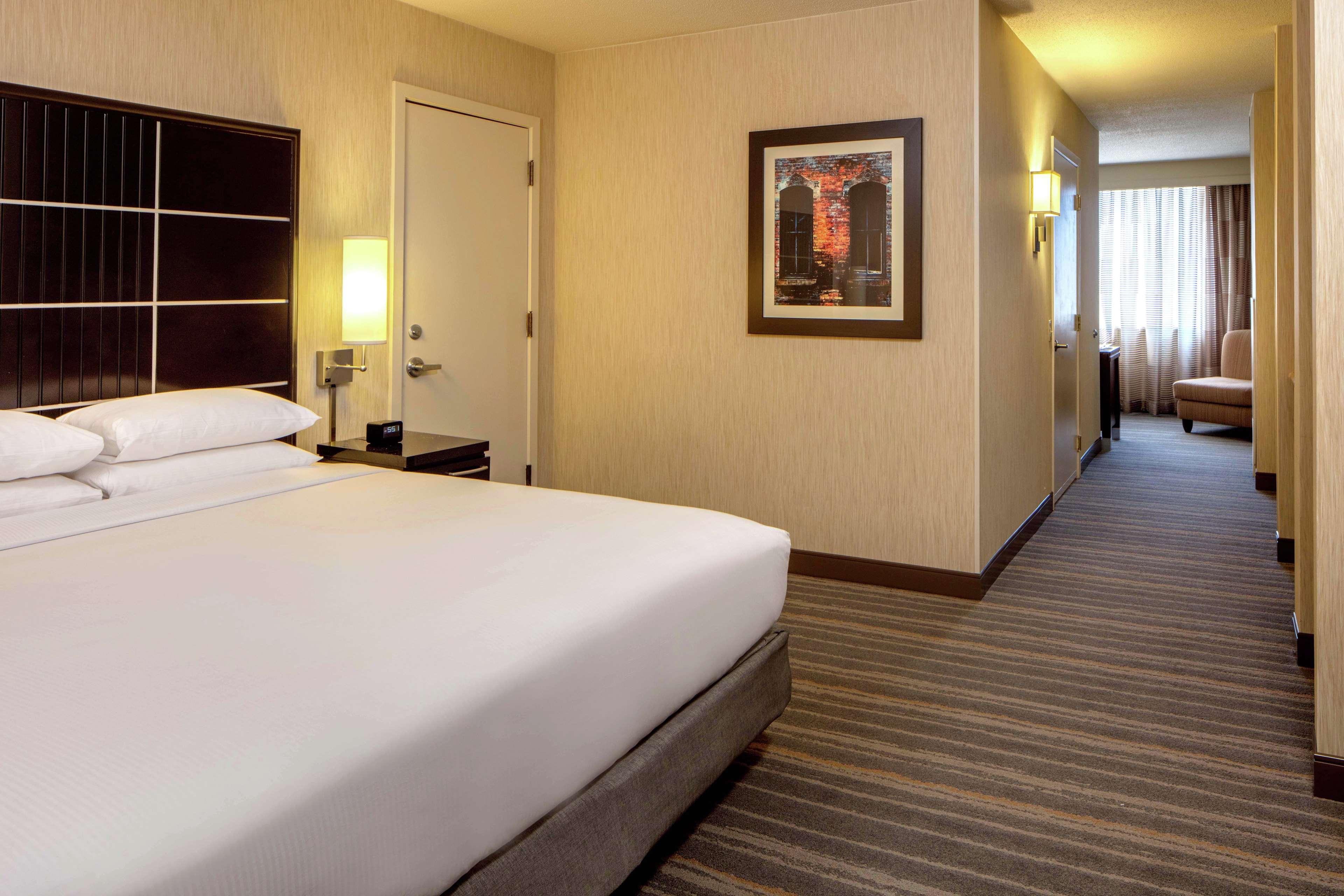 SUITE, KING BED
