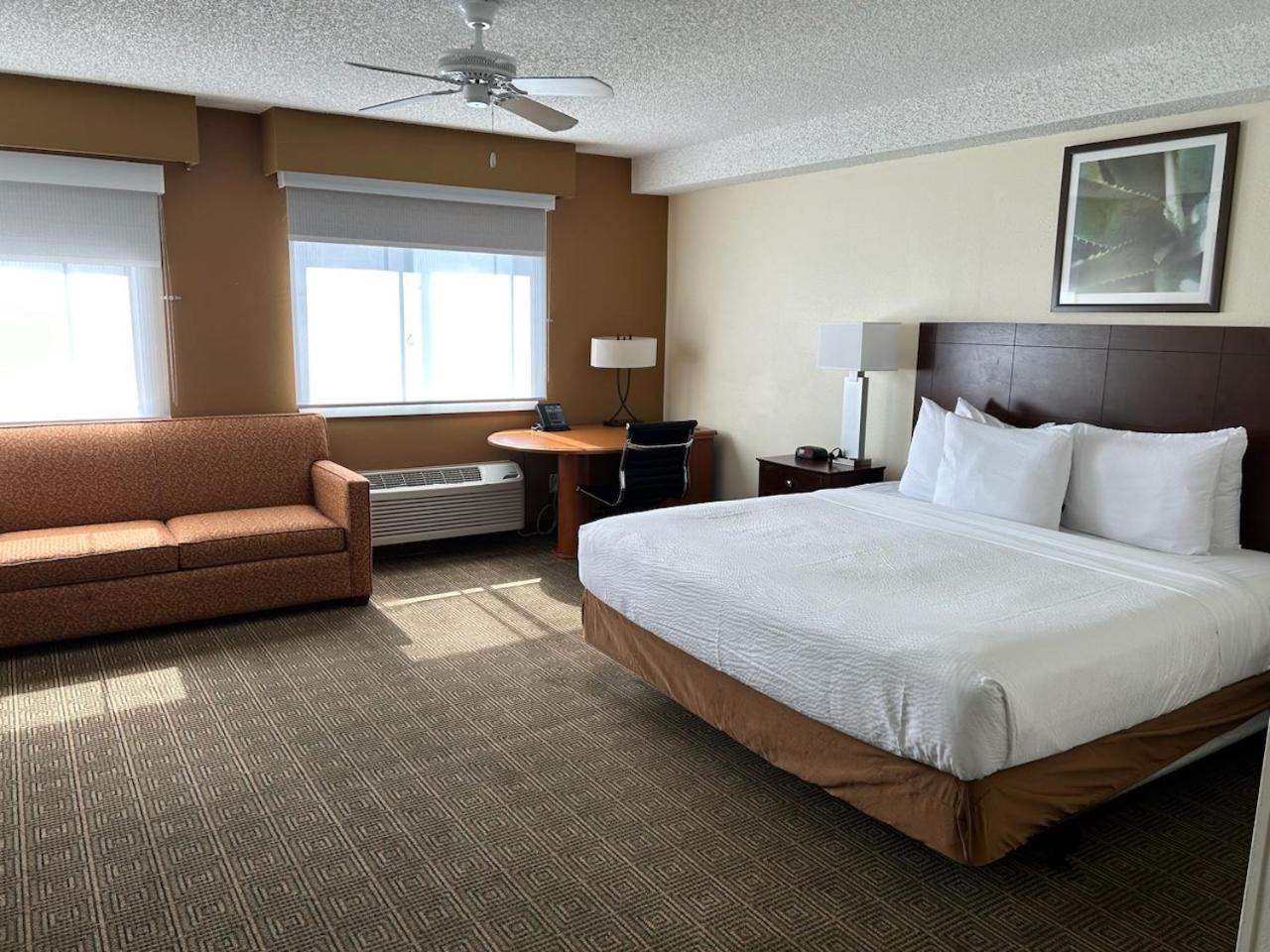 Junior Suite, King Bed, Sofa