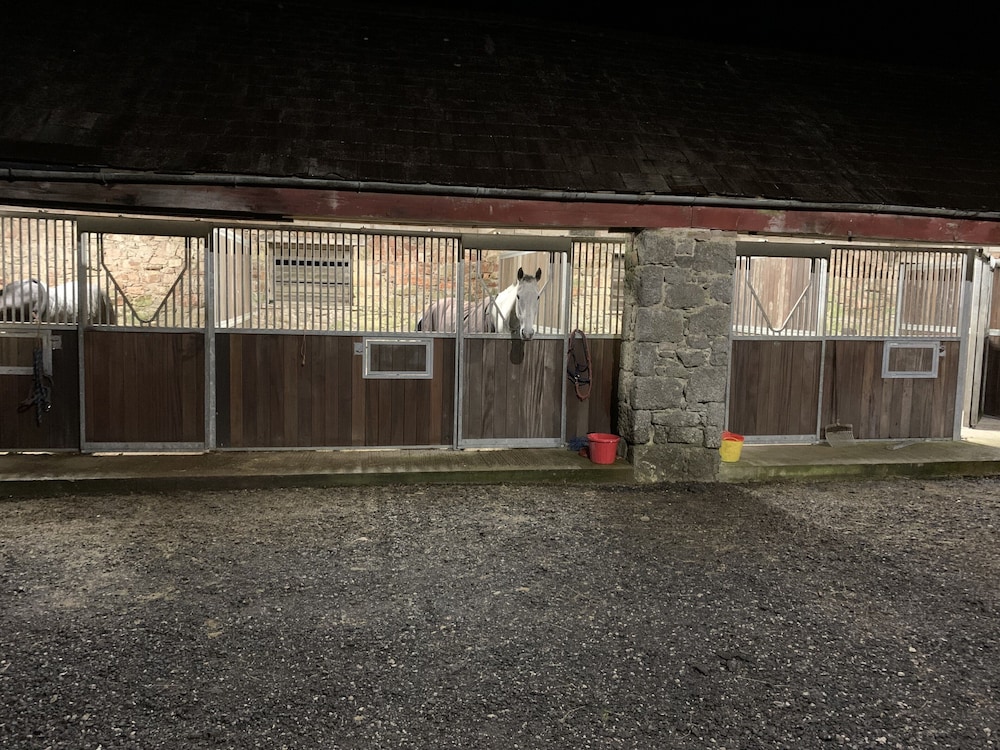 Beech Hill House B & B 34/50