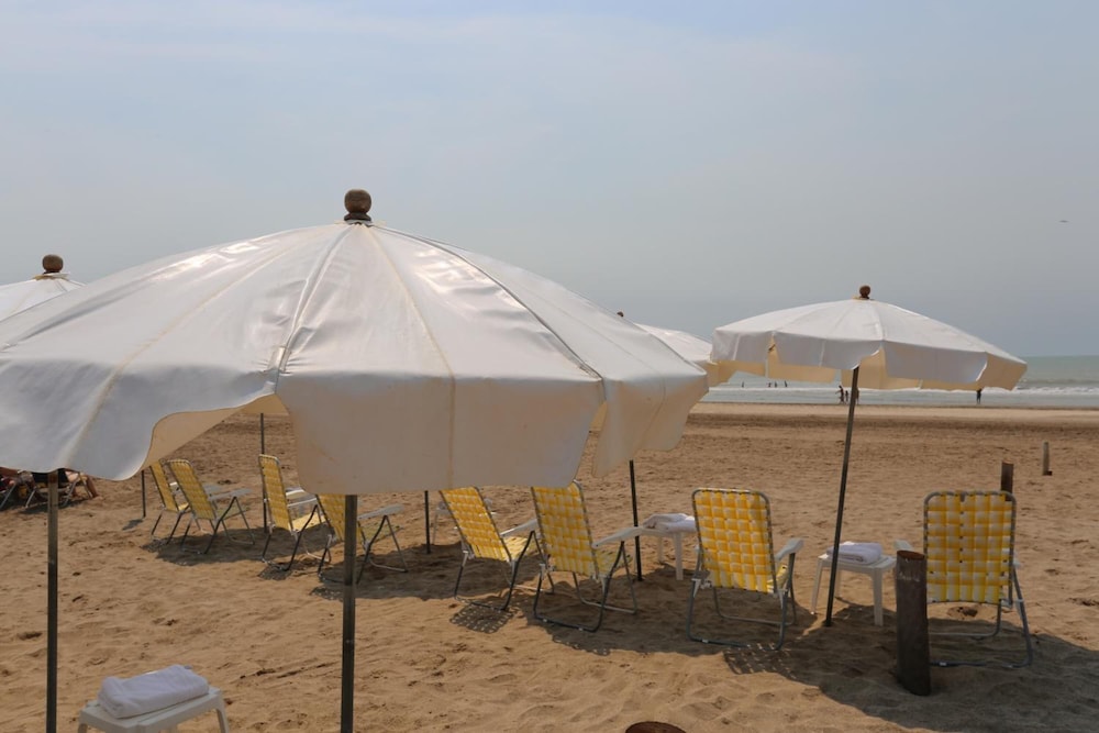 Carilo Soleil 43/50